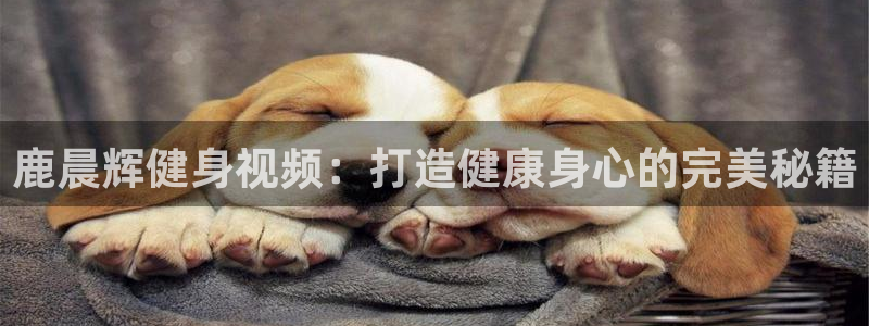意昂2平台