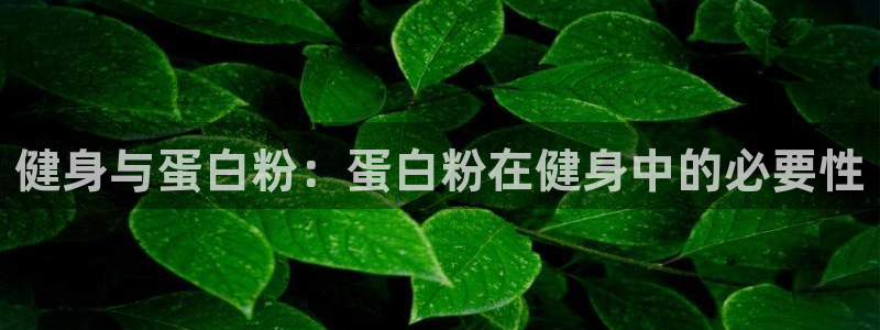 意昂2代理