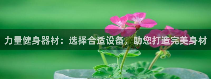 意昂2官方平台