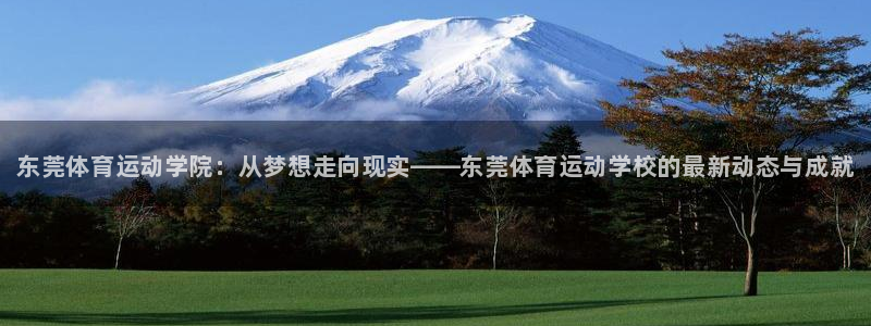 球速体育：东莞体育运动学院：从梦想走向现实——东莞体育运动学校的最新动态与成就