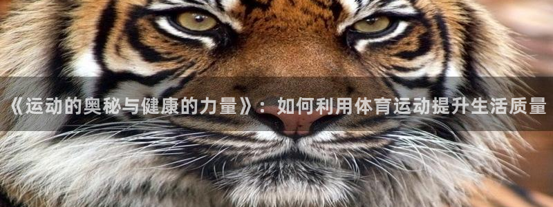 球速体育：《运动的奥秘与健康的力量》：如何利用体育运动提升生活质量