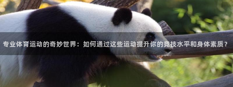 球速体育：专业体育运动的奇妙世界：如何通过这些运动提升你的竞技水平和身体素质？