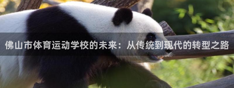 球速体育：佛山市体育运动学校的未来：从传统到现代的转型之路