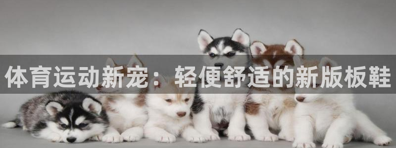 球速体育：体育运动新宠：轻便舒适的新版板鞋