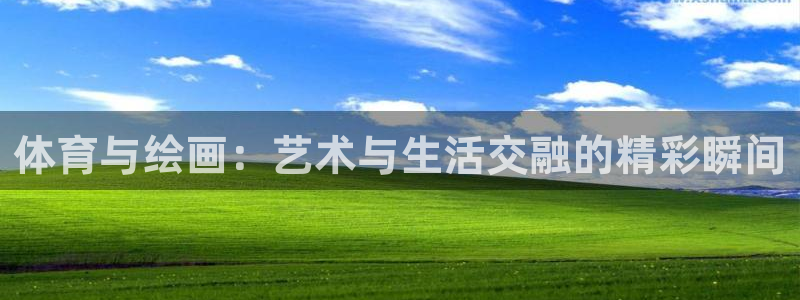 球速体育：体育与绘画：艺术与生活交融的精彩瞬间