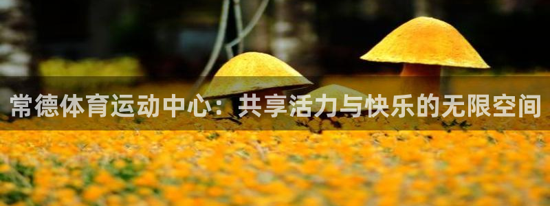 球速体育：常德体育运动中心：共享活力与快乐的无限空间