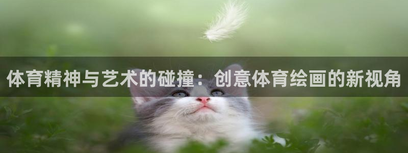 球速体育：体育精神与艺术的碰撞：创意体育绘画的新视角