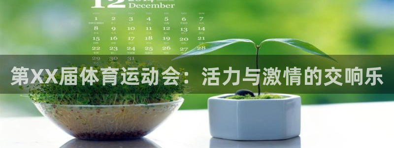 球速体育：第XX届体育运动会：活力与激情的交响乐
