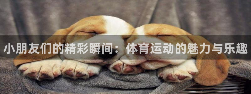 球速体育：小朋友们的精彩瞬间：体育运动的魅力与乐趣