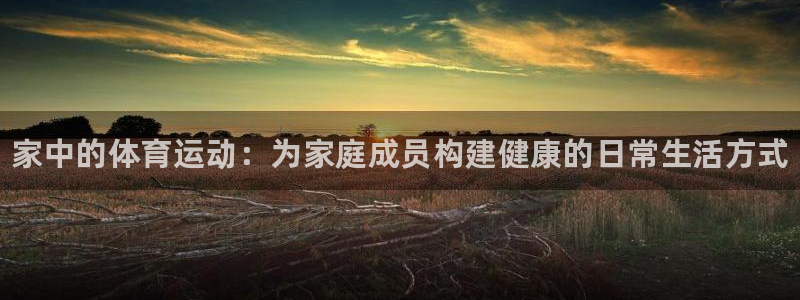 球速体育：家中的体育运动：为家庭成员构建健康的日常生活方式