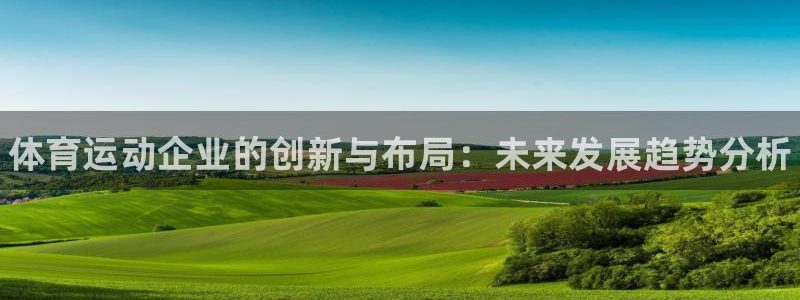 球速体育：体育运动企业的创新与布局：未来发展趋势分析