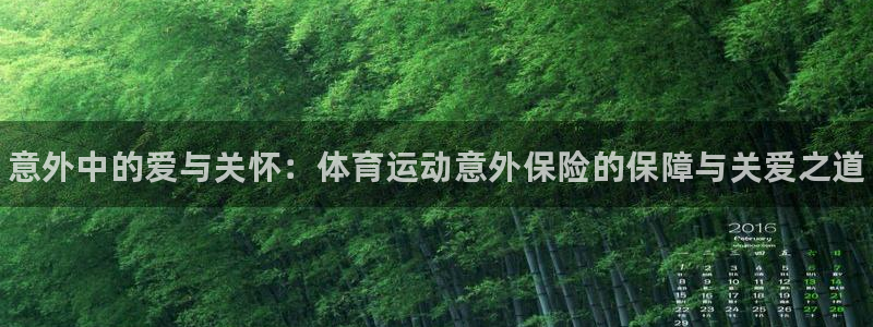 球速体育：意外中的爱与关怀：体育运动意外保险的保障与关爱之道