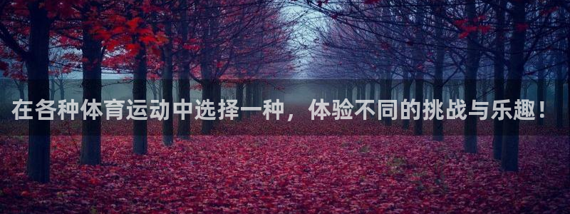 球速体育：在各种体育运动中选择一种，体验不同的挑战与乐趣！