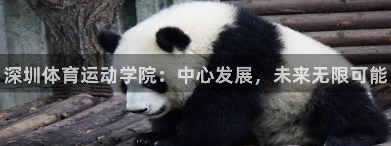 球速体育：深圳体育运动学院：中心发展，未来无限可能