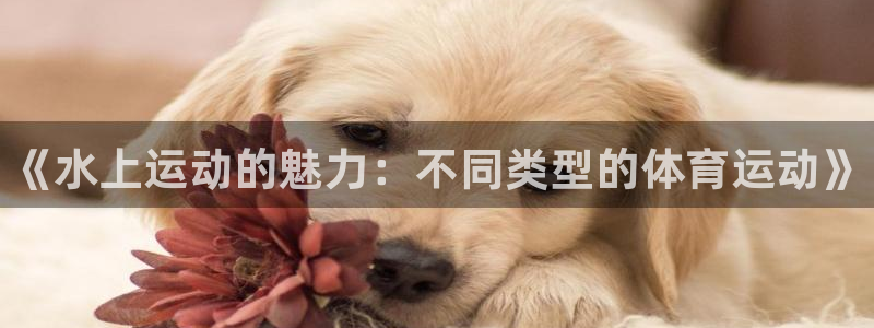 球速体育