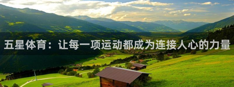 球速体育：五星体育：让每一项运动都成为连接人心的力量