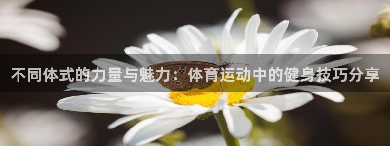 球速体育：不同体式的力量与魅力：体育运动中的健身技巧分享