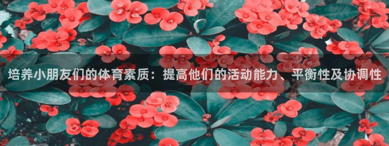 球速体育：培养小朋友们的体育素质：提高他们的活动能力、平衡性及协调性