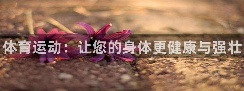球速体育：体育运动：让您的身体更健康与强壮
