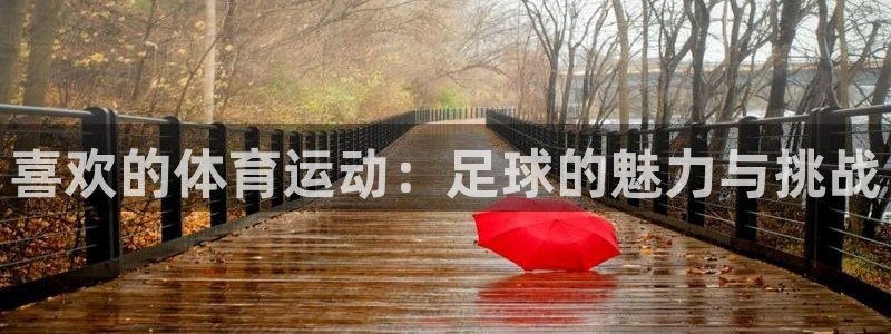 球速体育：喜欢的体育运动：足球的魅力与挑战