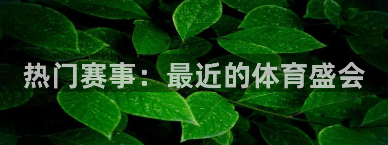 球速体育：热门赛事：最近的体育盛会