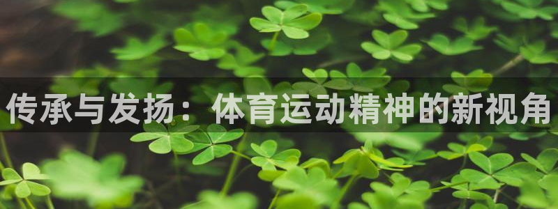 球速体育：传承与发扬：体育运动精神的新视角