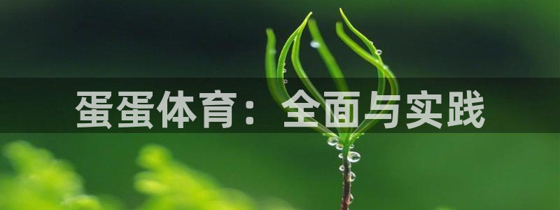 球速体育：蛋蛋体育：全面与实践