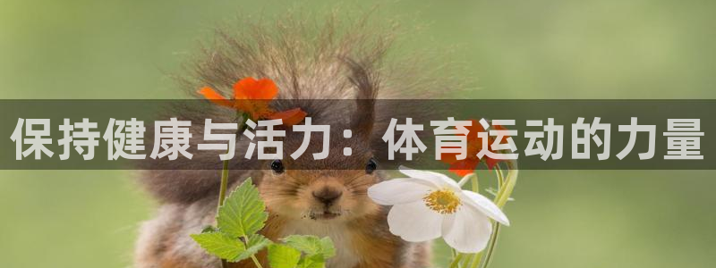 球速体育：保持健康与活力：体育运动的力量