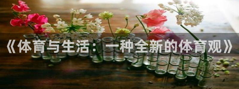 球速体育：《体育与生活：一种全新的体育观》