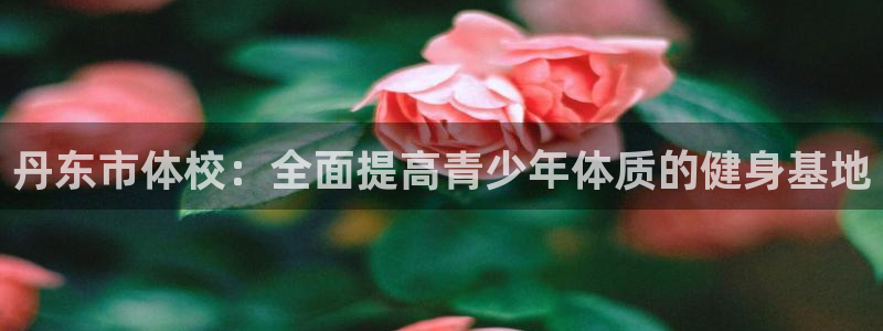 球速体育：丹东市体校：全面提高青少年体质的健身基地