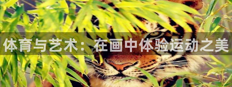 球速体育：体育与艺术：在画中体验运动之美