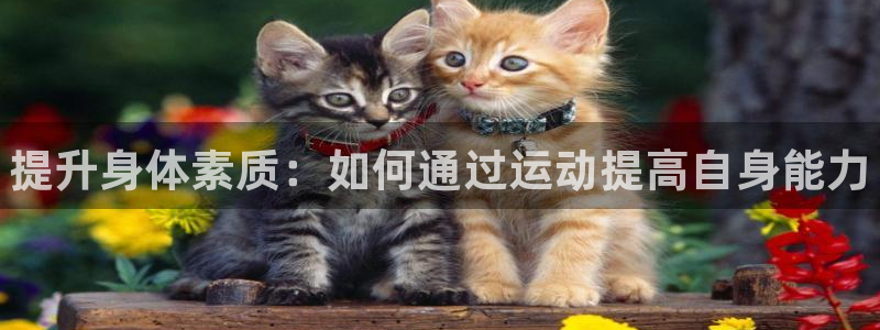 球速体育