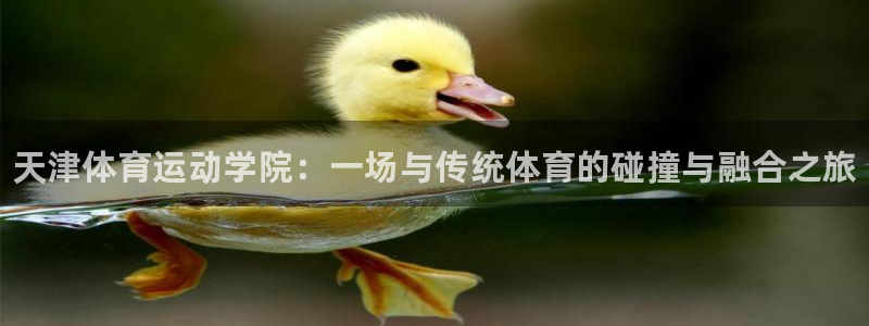 球速体育：天津体育运动学院：一场与传统体育的碰撞与融合之旅
