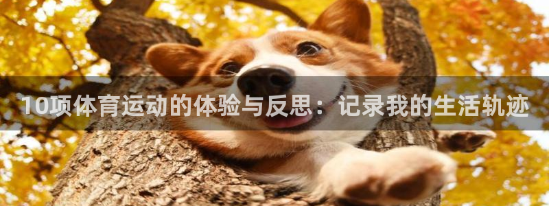 球速体育：10项体育运动的体验与反思：记录我的生活轨迹