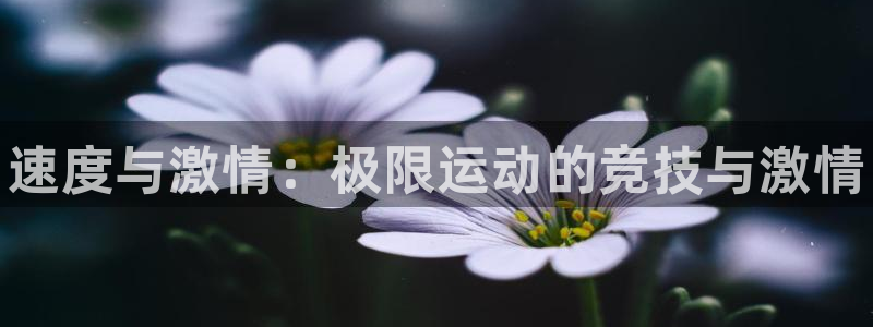 球速体育：速度与激情：极限运动的竞技与激情