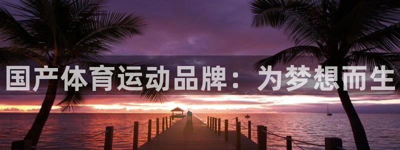 球速体育：国产体育运动品牌：为梦想而生
