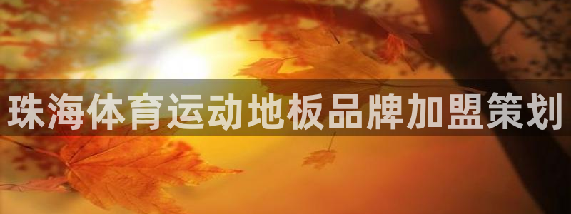 球速体育：珠海体育运动地板品牌加盟策划