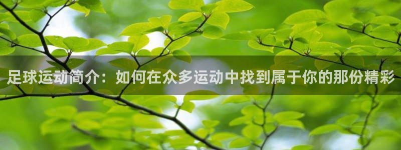 球速体育：足球运动简介：如何在众多运动中找到属于你的那份精彩