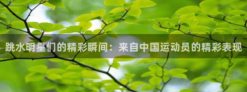球速体育：跳水明星们的精彩瞬间：来自中国运动员的精彩表现