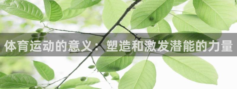 球速体育：体育运动的意义：塑造和激发潜能的力量