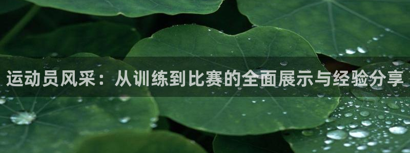 球速体育：运动员风采：从训练到比赛的全面展示与经验分享