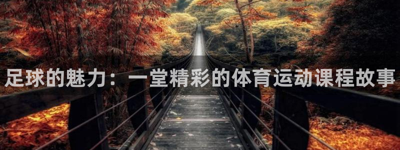 球速体育：足球的魅力：一堂精彩的体育运动课程故事